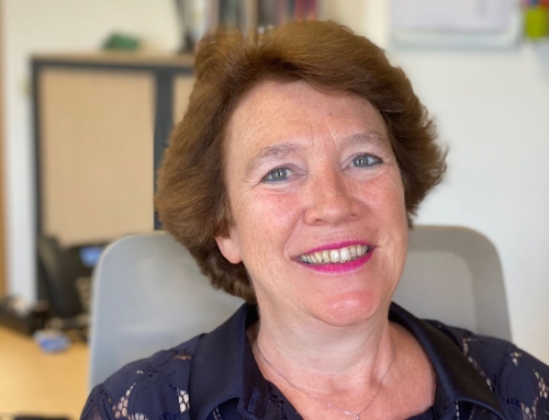 RC Reno : 30 ans de passion et d’innovation au service de la rénovation durable